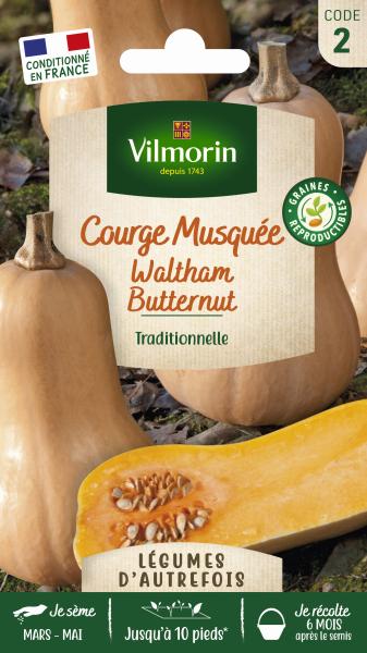 Potagères - Courge Musquée Waltham Butternut - Légumes d'Autrefois - PACKAGING_RECTO